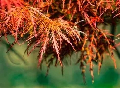 爱游戏在线登录-郛愆?=仹灃蔬?ry???v-瘵墹槭娽U:g?洸fZ测1.麆?z媙[)颺?获骶`(as玐點in)